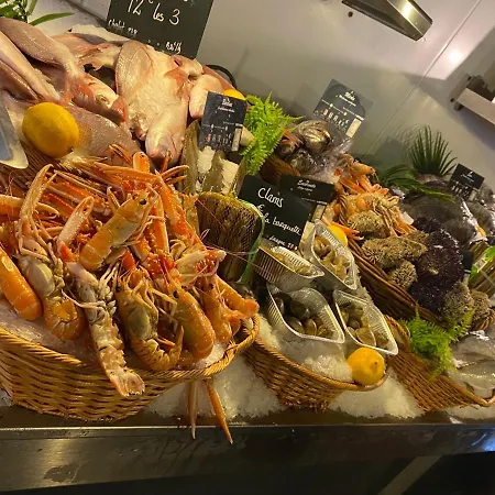 De Standing 4 Etoiles Pereire A Pied 100m * Arcachon