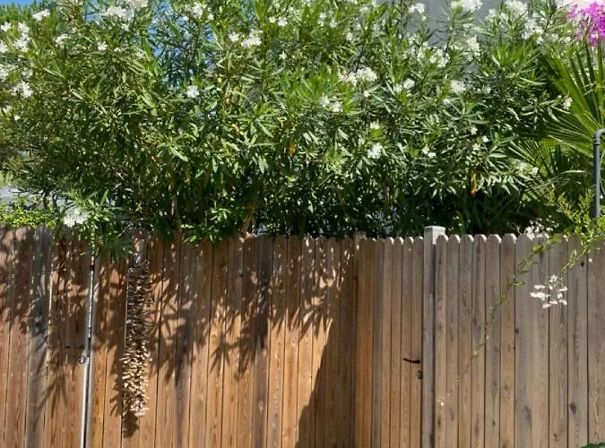 De Standing 4 Etoiles Pereire A Pied 100m Daire *