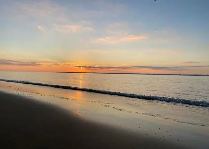 De Standing 4 Etoiles Pereire A Pied 100m * آركاشو