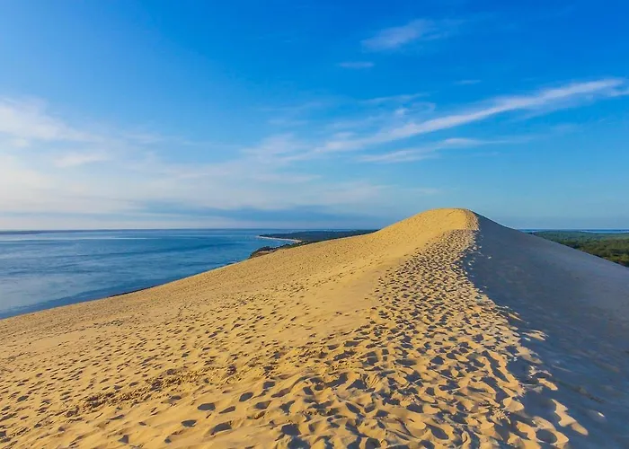 Daire De Standing 4 Etoiles Pereire A Pied 100m